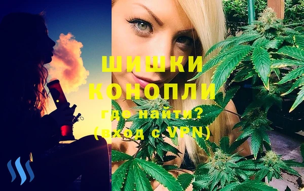 PSILOCYBIN Алзамай