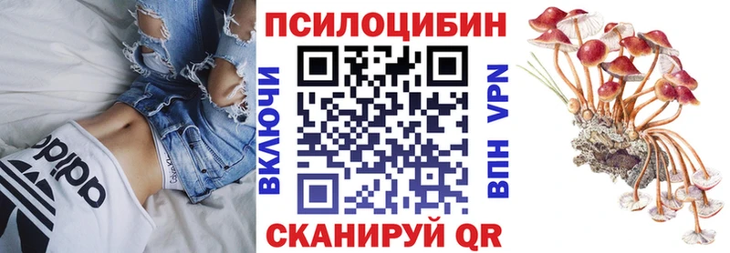 Галлюциногенные грибы прущие грибы  Всеволожск 